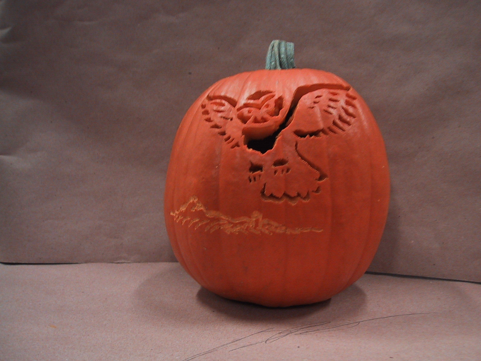 Pictures of Pummpkins