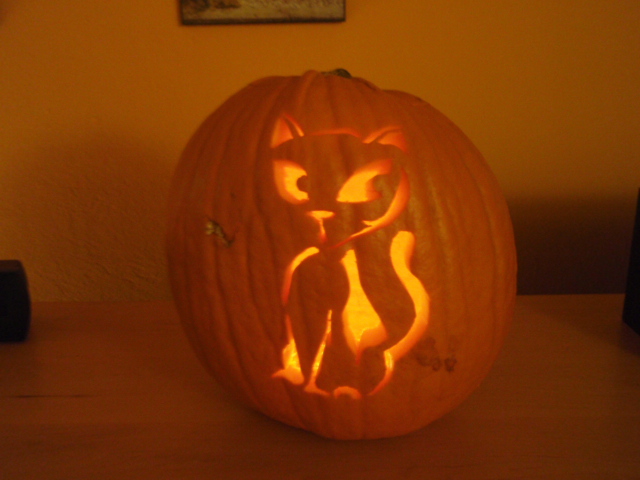 Pictures of Pummpkins