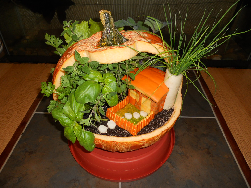 Pictures of Pummpkins