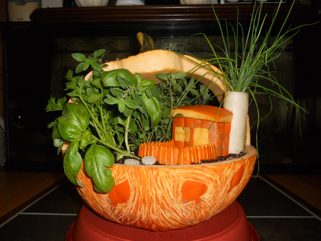 Pictures of Pummpkins