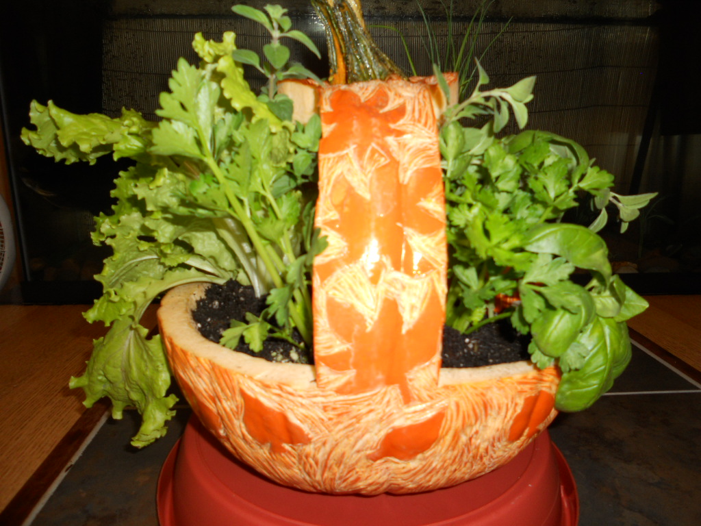 Pictures of Pummpkins