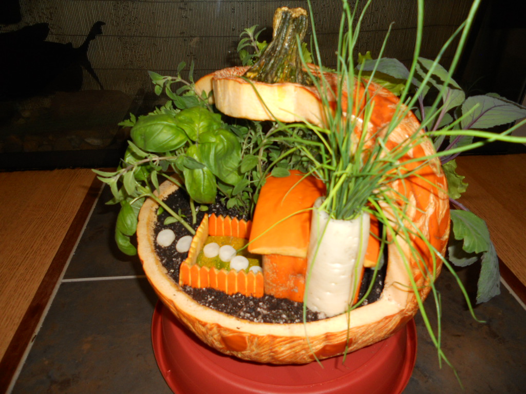 Pictures of Pummpkins