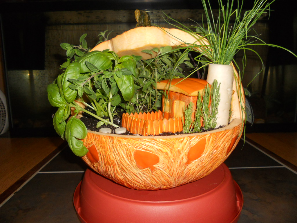 Pictures of Pummpkins